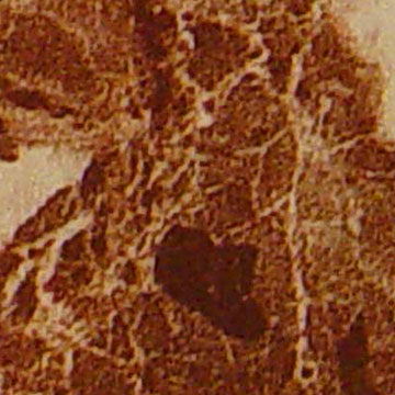 Granite Finish001